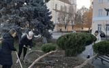 Субботник по благоустройству территории колледжа и прилегающей территории-min (1)